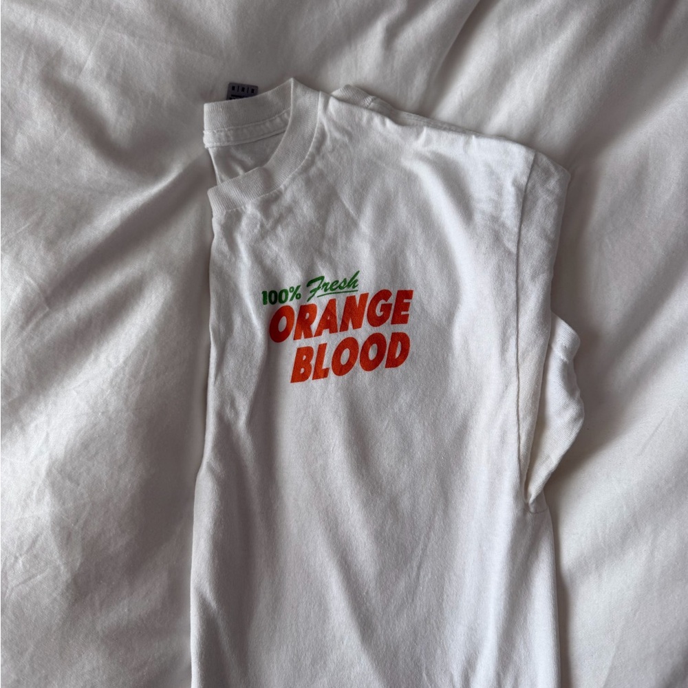 Mt Joy / Mount Joy concert Tee